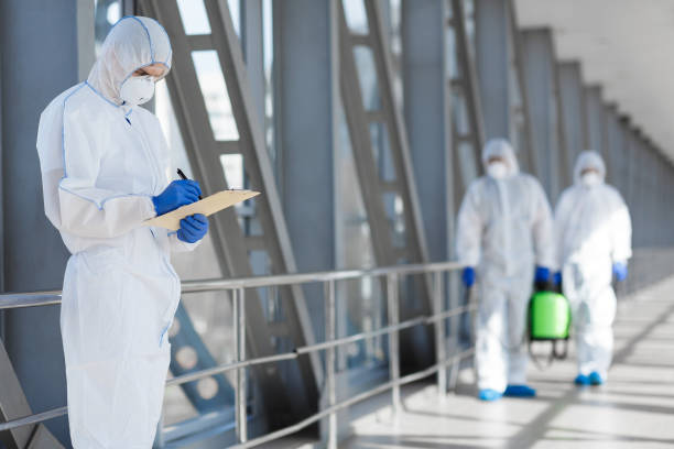Best Environmental Consulting for Mold Prevention  in Wolfforth, TX