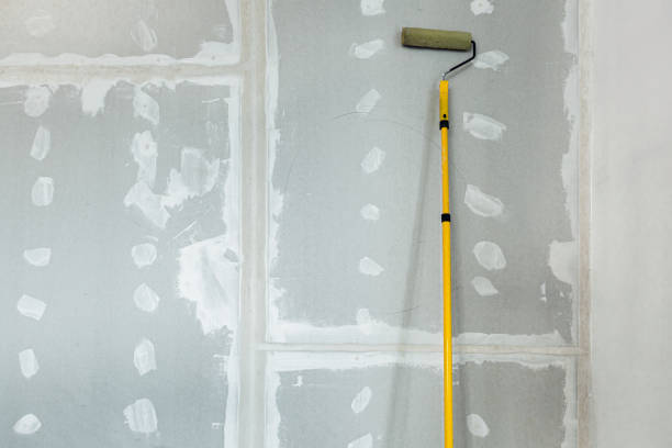Best Residential Mold Inspection & Testing  in Wolfforth, TX
