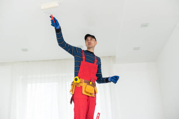 Best Basement Mold Removal  in Wolfforth, TX