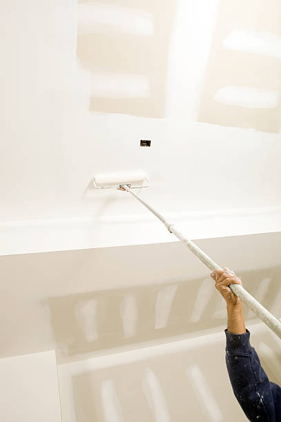 Best Mold Remediation for Healthcare Facilities  in Wolfforth, TX
