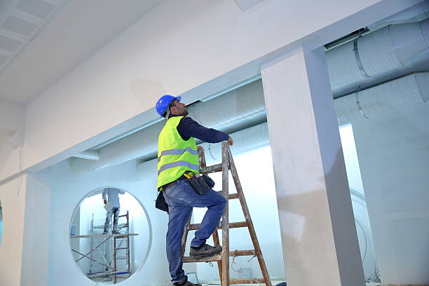 Best Asbestos and Lead Testing During Mold Inspection  in Wolfforth, TX