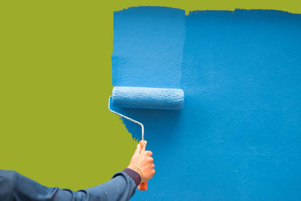 Best Biohazard Mold Removal  in Wolfforth, TX
